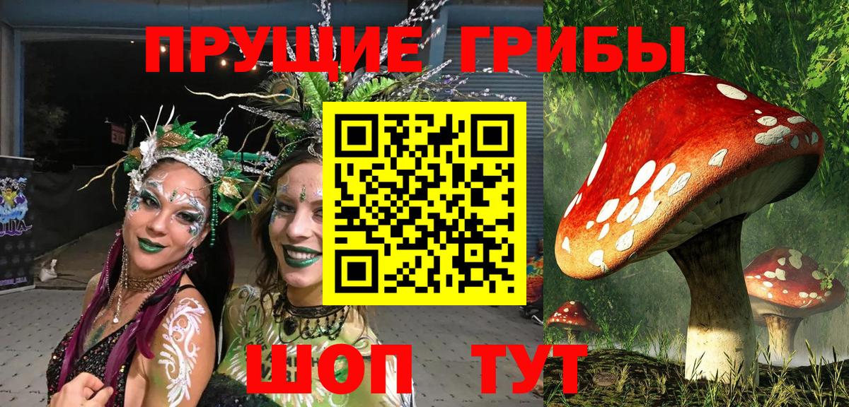 хочу   Вход с VPN  Елабуга  Галлюциногенные грибы MAGIC MUSHROOMS 
